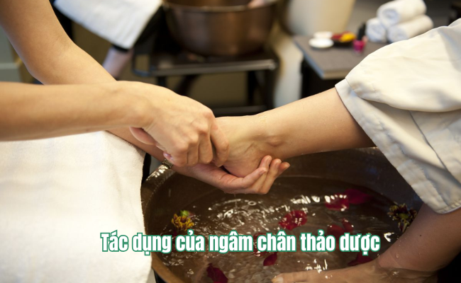 ngâm chân thảo dược 